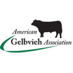 American Gelbvieh Association