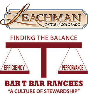 Leachman Cattle of Colorado / Bar T Ranch