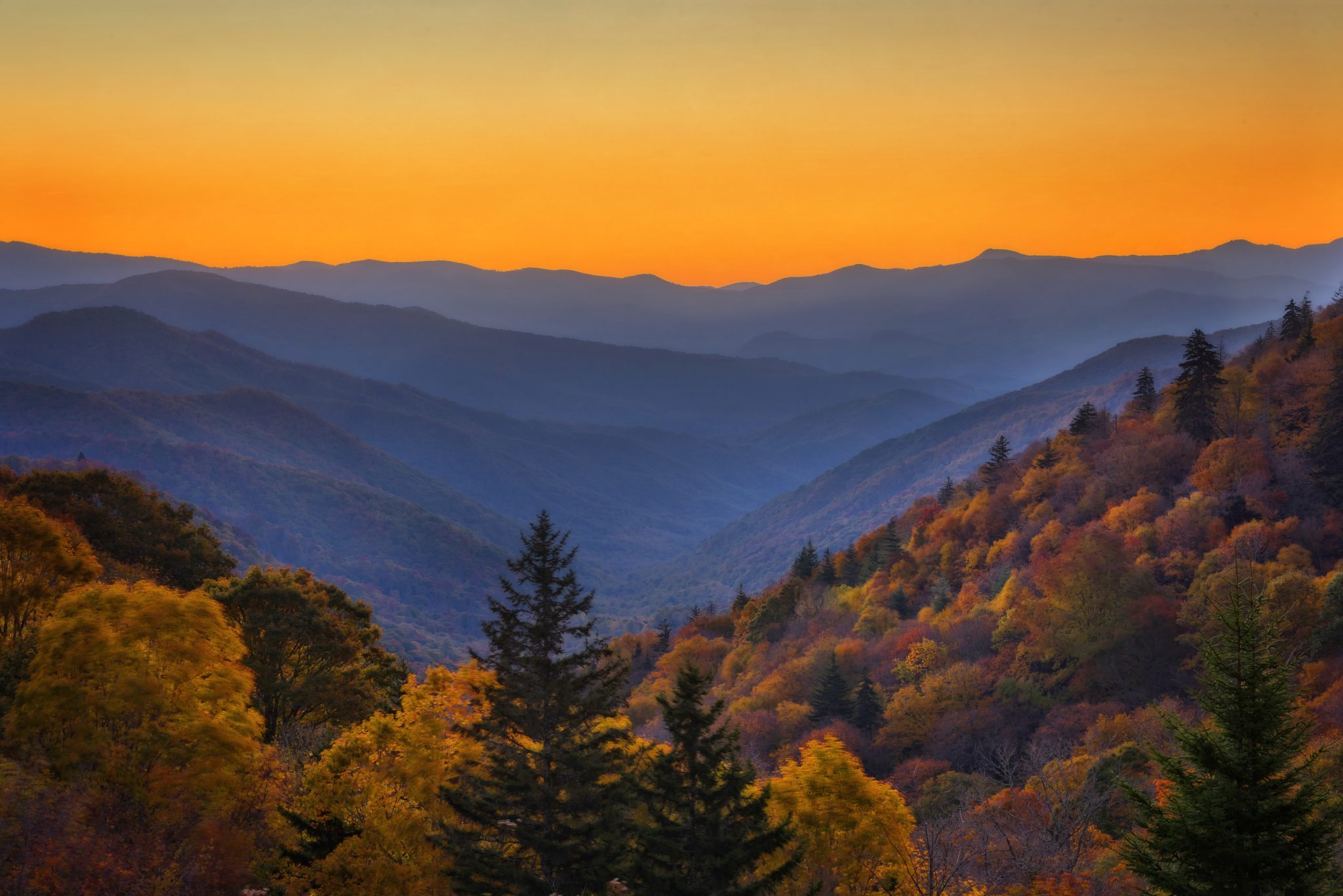 2024 Symposium Beef Improvement Federation   Smokey Mountains 2048x1367 